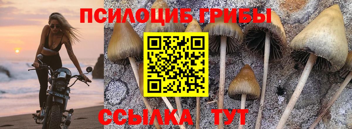 Галлюциногенные грибы GOLDEN TEACHER  Вход с VPN  Касимов 