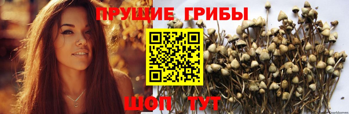 Галлюциногенные грибы мухоморы Касимов